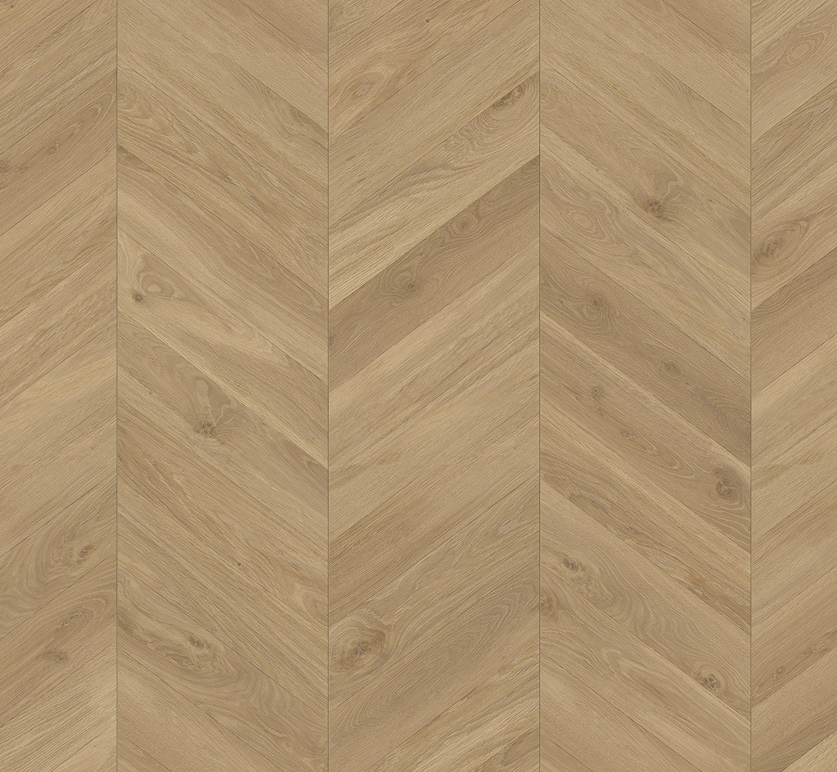PARADOR Laminat Eiche Loire honig Seidenmatte Struktur | Trendtime 8-4014809268604