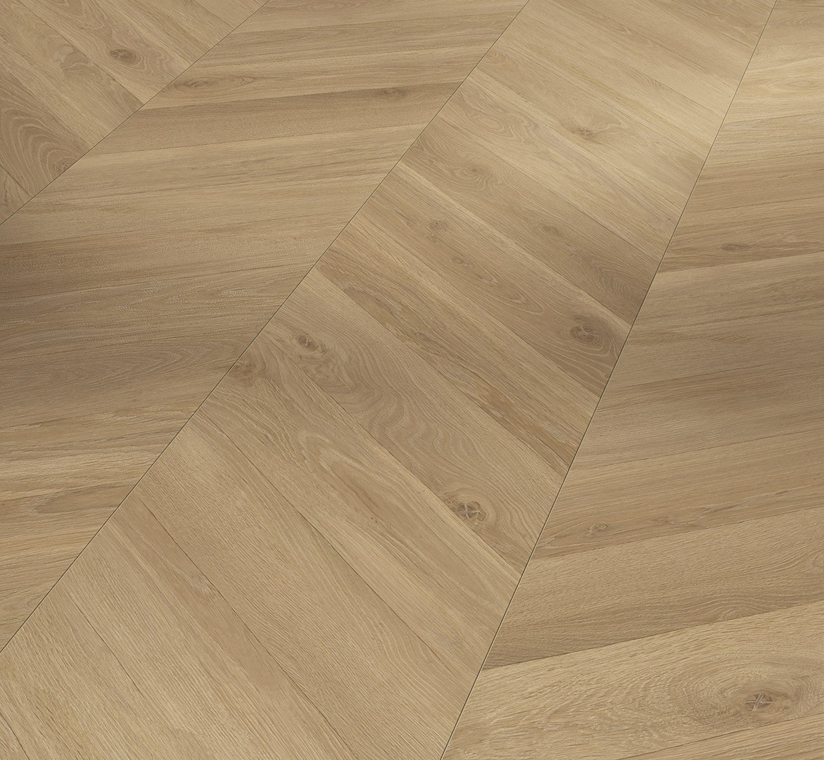 PARADOR Laminat Eiche Loire honig Seidenmatte Struktur | Trendtime 8-4014809268604