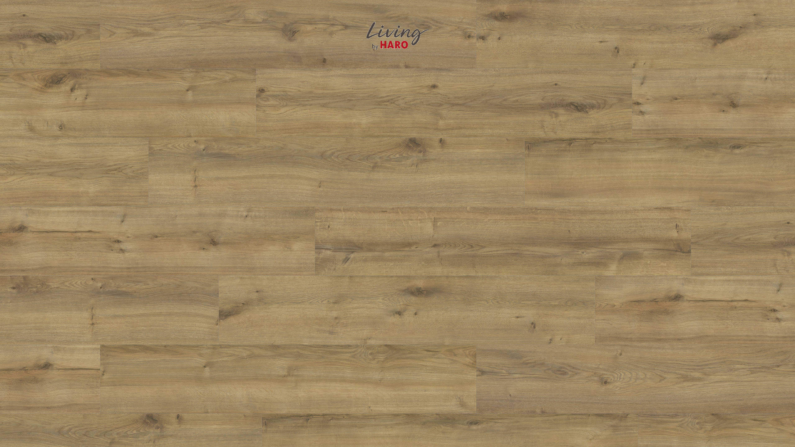 HARO Designboden Eiche Montana natur strukturiert Landhausdiele 4VM | HydroStar-4018427548025 HARO Designboden Eiche Montana natur strukturiert Landhausdiele 4VM | HydroStar-4018427548025