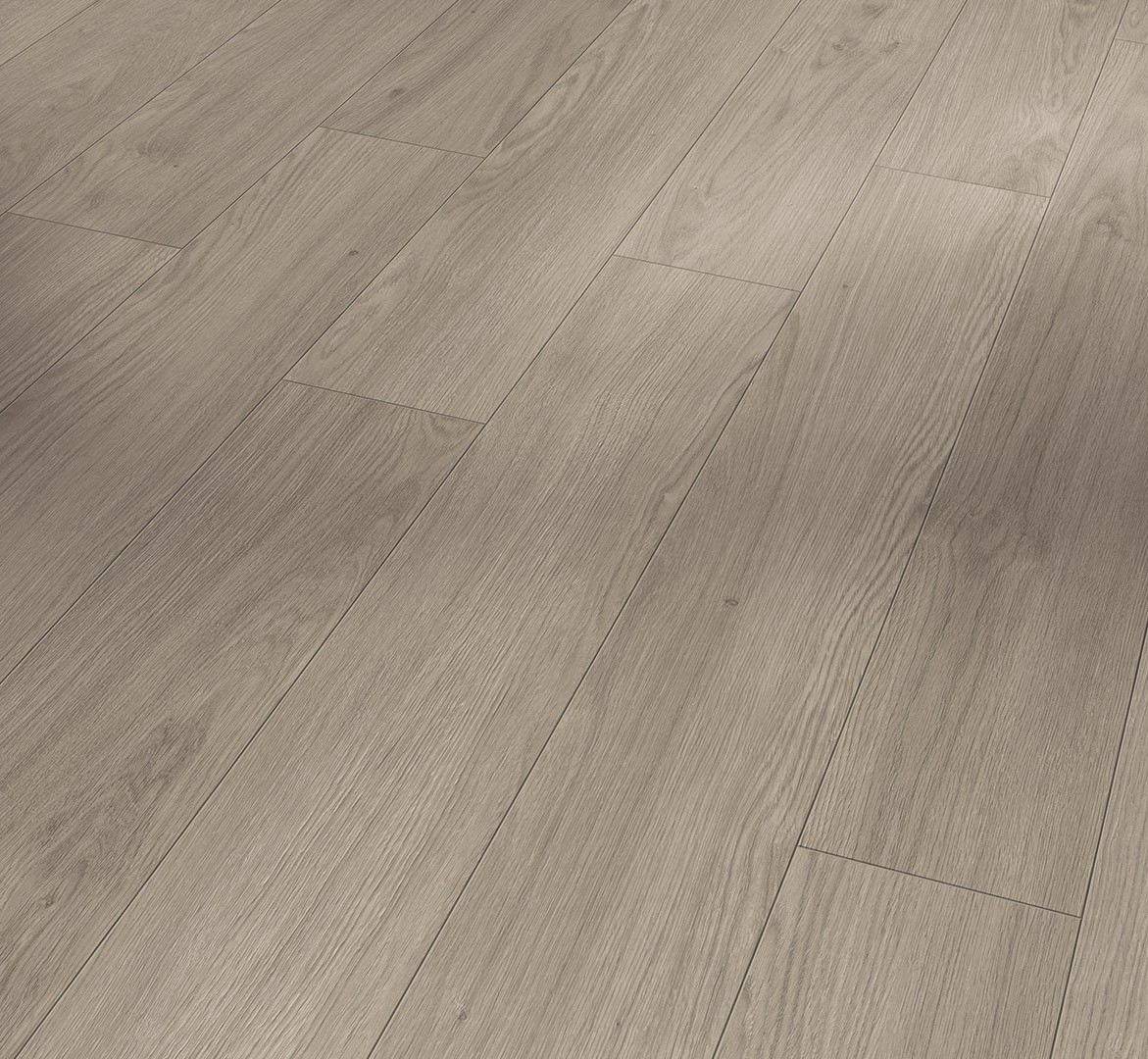 PARADOR Laminat Eiche Mont Blanc grau Matte Holzstruktur 4-seitige V-Fuge | Trendtime 1-4014809267853