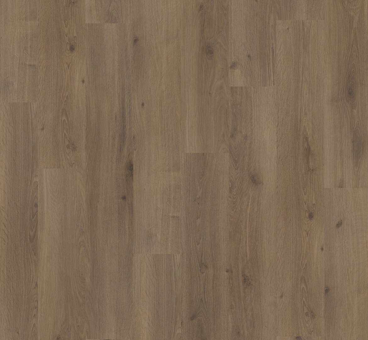 PARADOR Laminat Eiche dunkel gekälkt Landhausdiele Gebürstete Struktur | Urban 8-32 | 12 m²-4014809226475