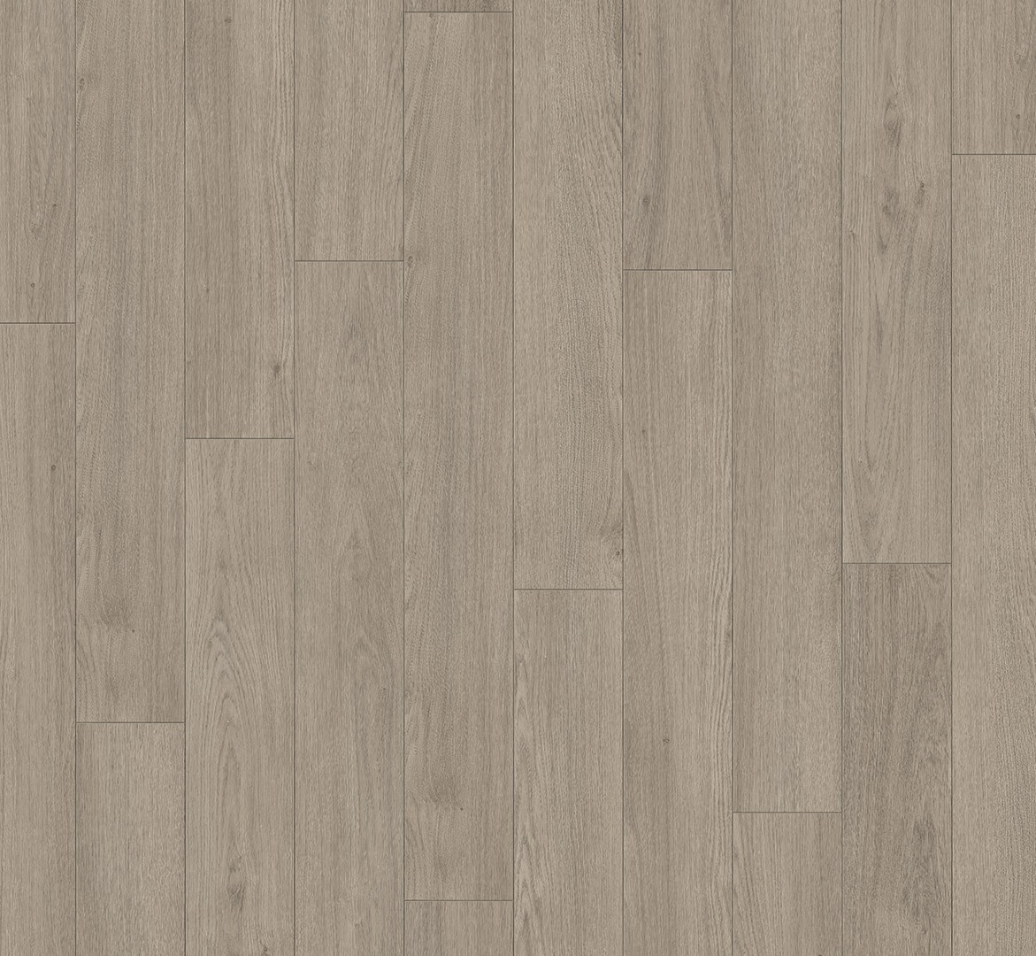 PARADOR Laminat Eiche Mont Blanc grau Matte Holzstruktur 4-seitige V-Fuge | Trendtime 1-4014809267853 PARADOR Laminat Eiche Mont Blanc grau Matte Holzstruktur 4-seitige V-Fuge | Trendtime 1-4014809267853