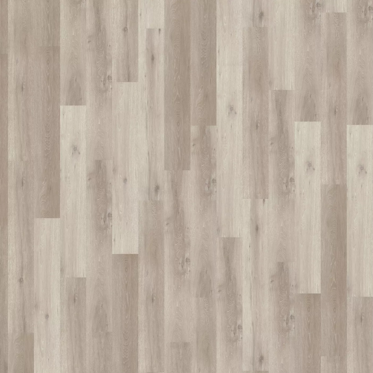 AMORIM Vinylboden Whitewashed Rustic Oak | Decolife Comfort-5602190268090