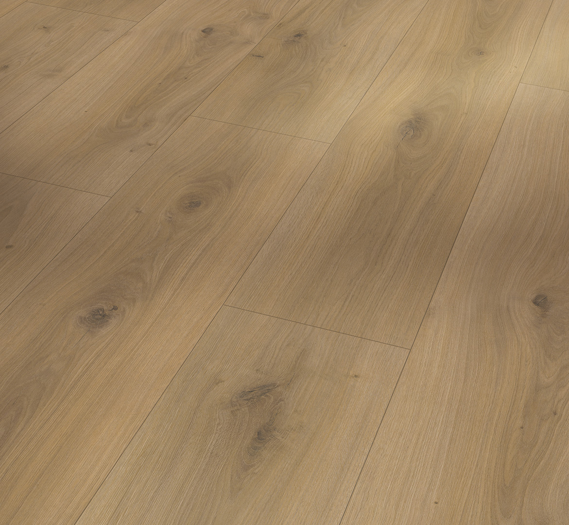 PARADOR Laminat Eiche Horizont natur Landhausdiele Seidenmatte Struktur 4-seitige Mini-V-Fuge | Basic 600 XS | 25 m²-4014809170488