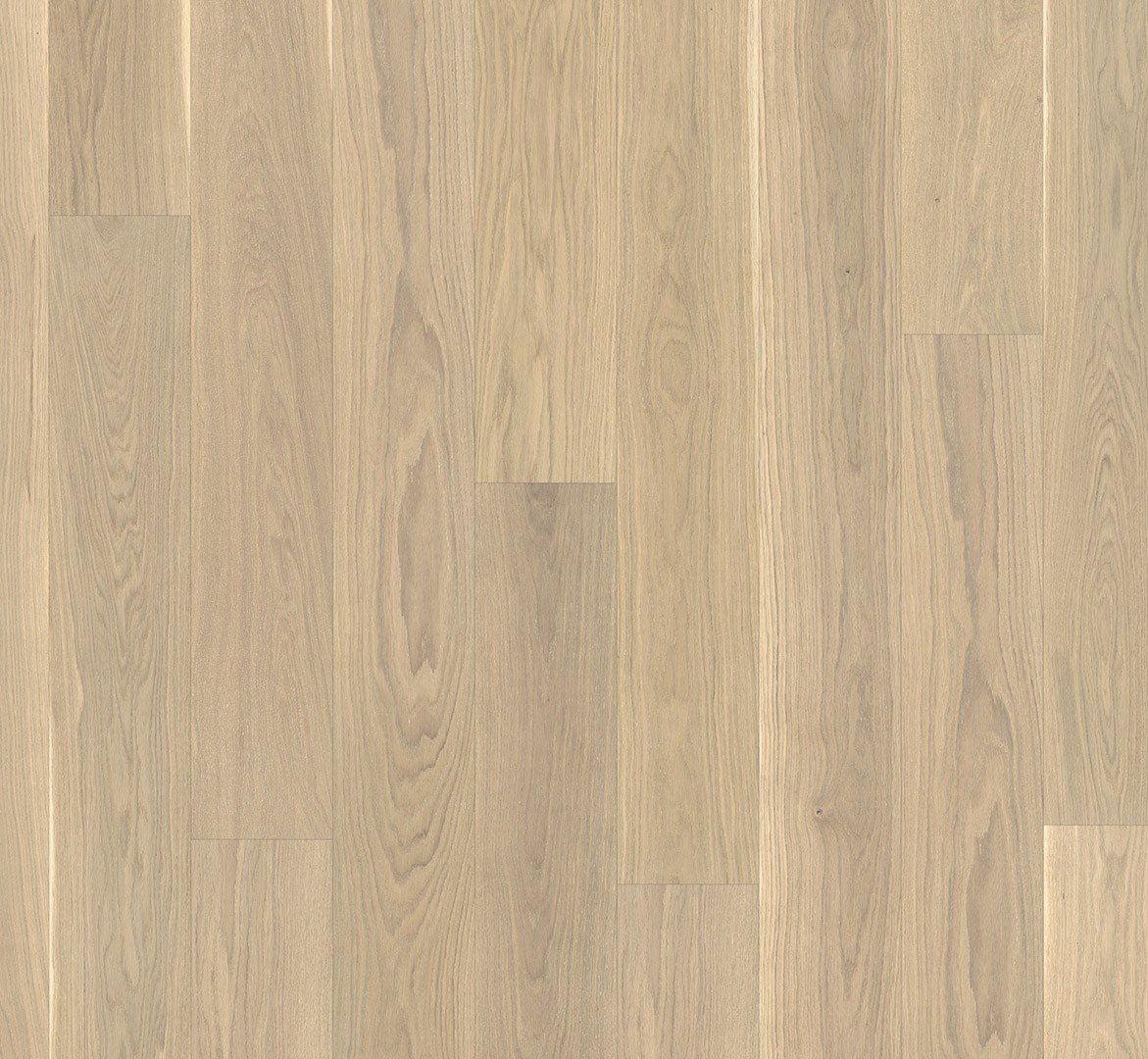 PARADOR Parkett Eiche gebürstet Landhausdiele lackversiegelt matt weiß 4-seitige Minifase | Classic 3025-4014809264897