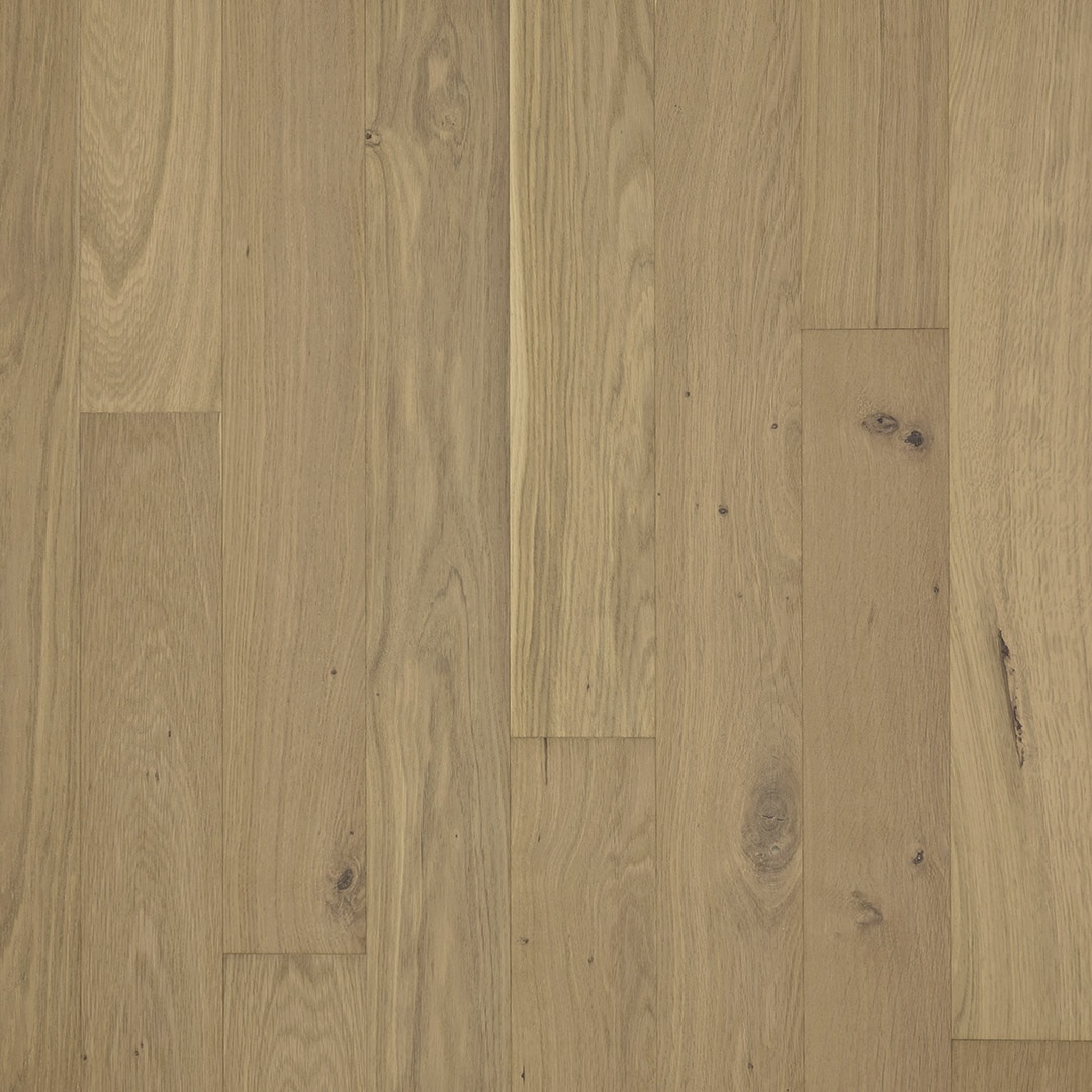 PARADOR Parkett Eiche Living Landhausdiele lackversiegelt matt weiß 4-seitige Minifase | Classic 3025-4014809285366