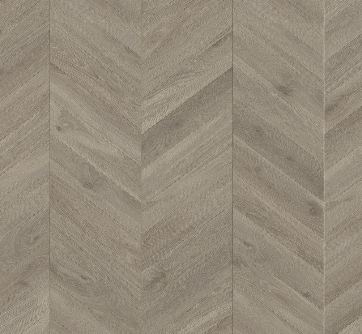 PARADOR Laminat Eiche Loire grau Seidenmatte Struktur | Trendtime 8-4014809268642 PARADOR Laminat Eiche Loire grau Seidenmatte Struktur | Trendtime 8-4014809268642