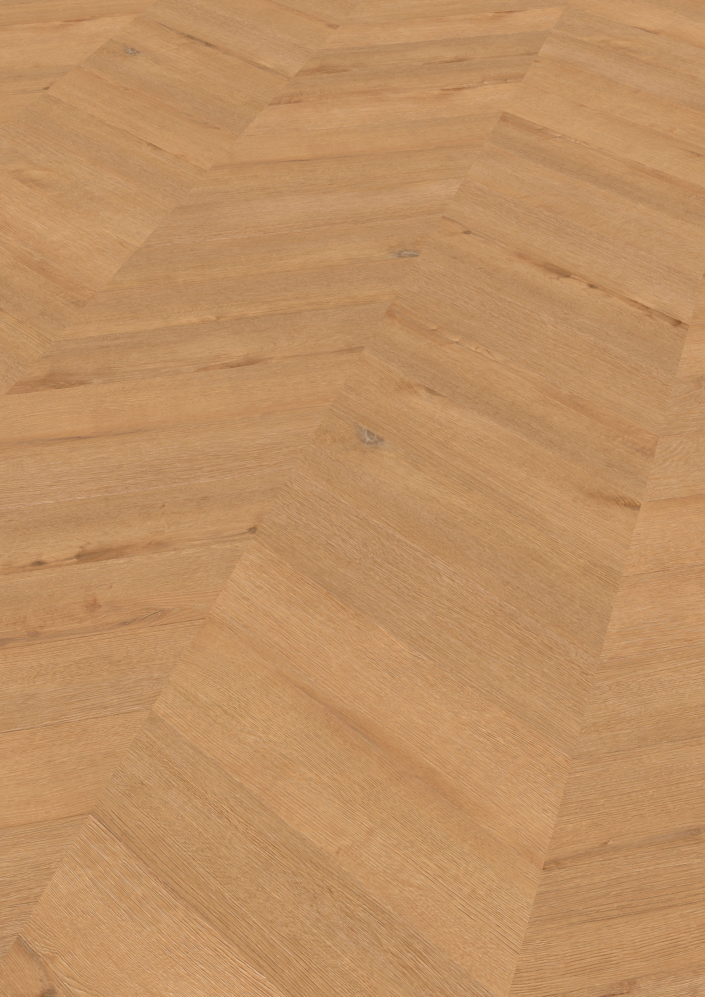 TER HÜRNE Design-Vinylboden Eiche Hamburg Chevron | Perform-4012853176296 TER HÜRNE Design-Vinylboden Eiche Hamburg Chevron | Perform-4012853176296