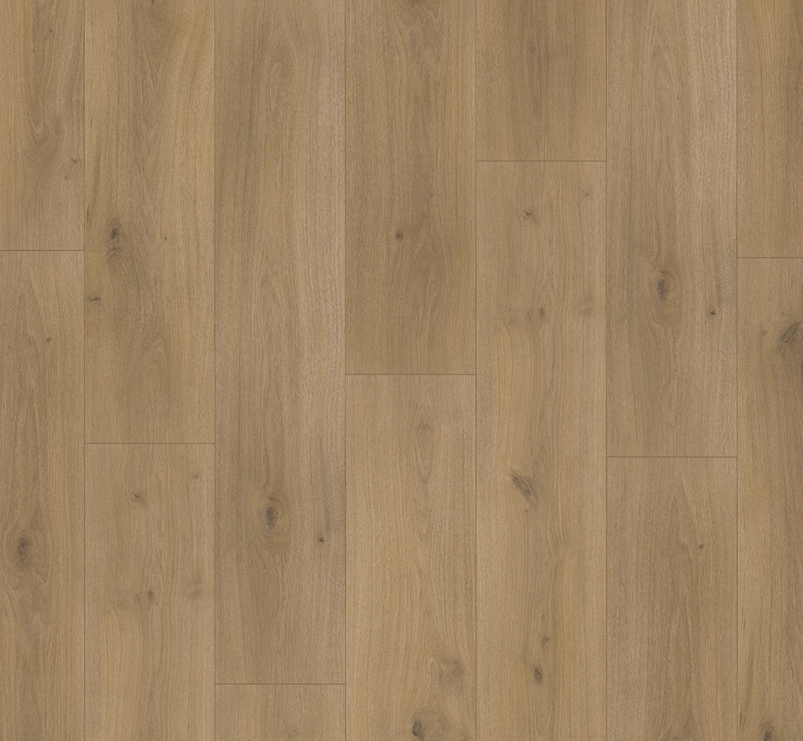 PARADOR Laminat Eiche Horizont natur Landhausdiele Seidenmatte Struktur 4-seitige Mini-V-Fuge | Basic 600 XS | 25 m²-4014809170488