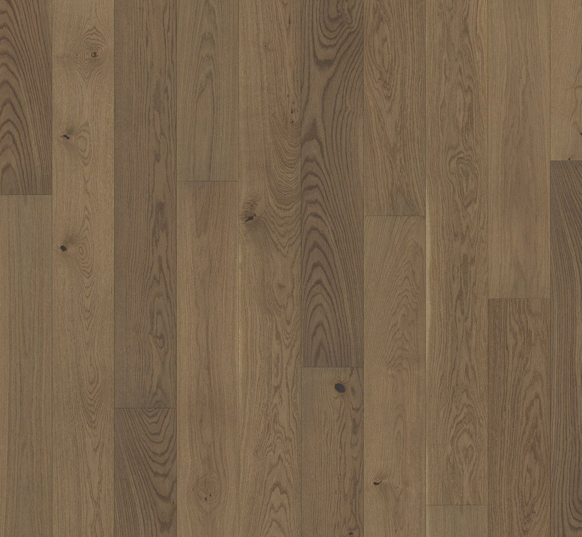PARADOR Parkett Eiche nougat Living Landhausdiele lackversiegelt matt 4-seitige Minifase | Trendtime 4 | 2. Wahl | 21 m²-4014809188087