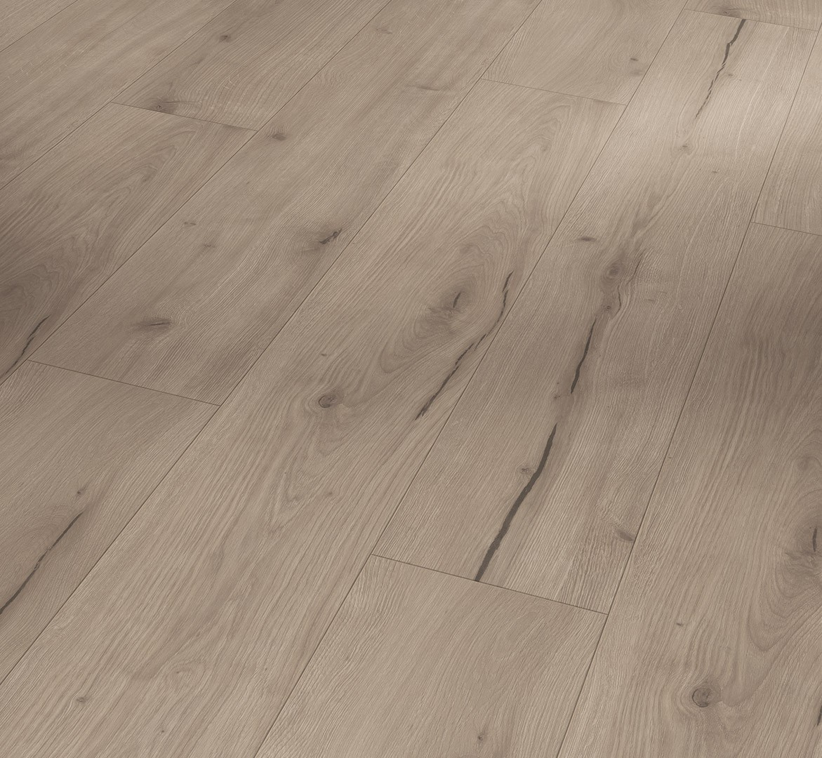 PARADOR Designboden Eiche Ferrum grau Landhausdiele Holzstruktur 4-seitige Fase | Modular ONE-4014809295808