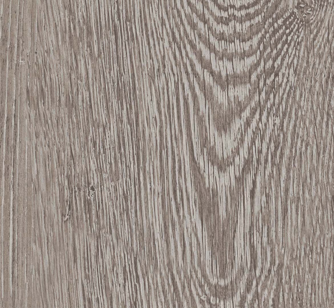PARADOR Laminat Eiche lichtgrau Landhausdiele Seidenmatte Struktur 4-seitige V-Fuge | Basic 200 | 15 m²-4014809170594 PARADOR Laminat Eiche lichtgrau Landhausdiele Seidenmatte Struktur 4-seitige V-Fuge | Basic 200 | 15 m²-4014809170594
