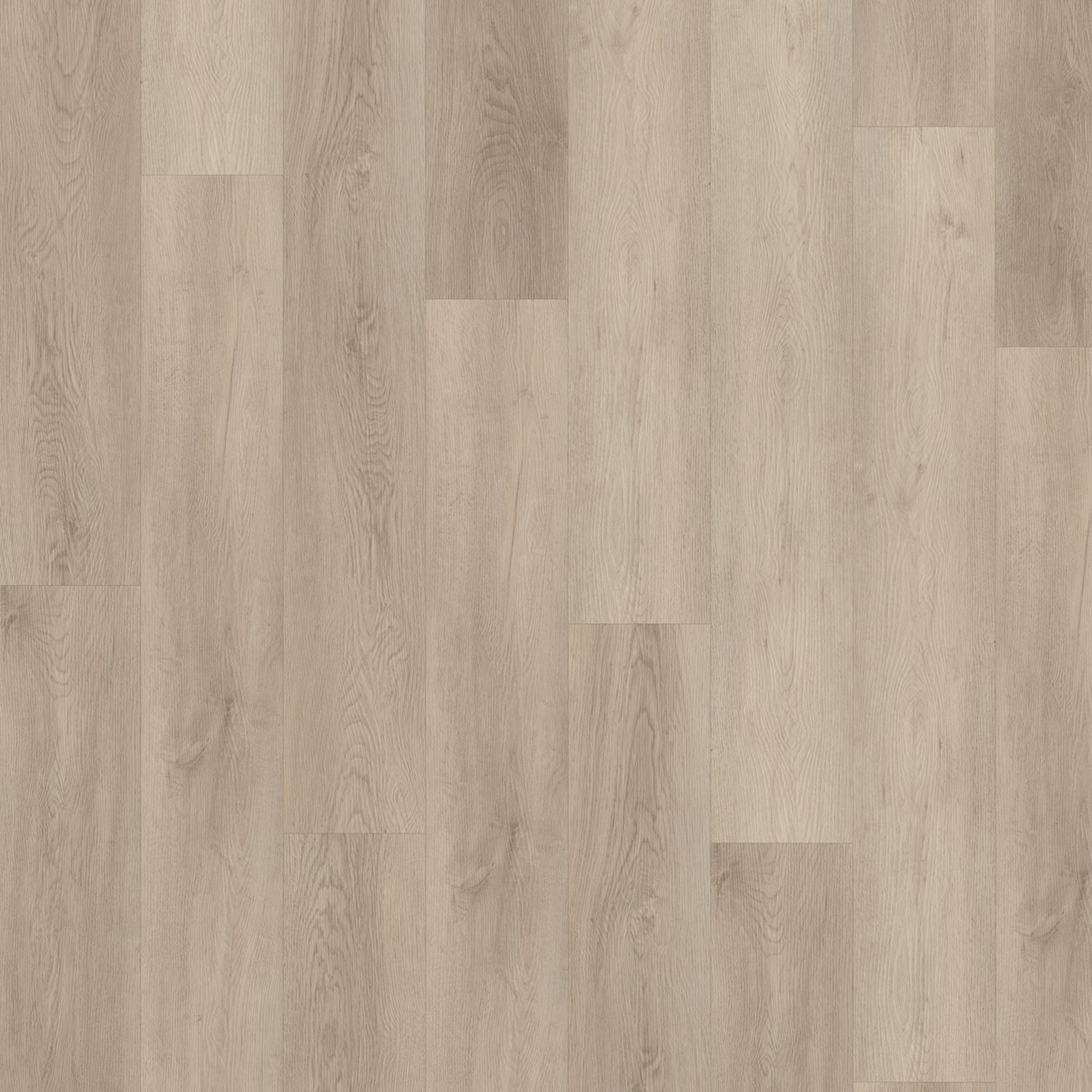 CHECK Vinylboden 2466 Wickrath Eiche Landhausdiele | Standard Collection-4250055112975 CHECK Vinylboden 2466 Wickrath Eiche Landhausdiele | Standard Collection-4250055112975