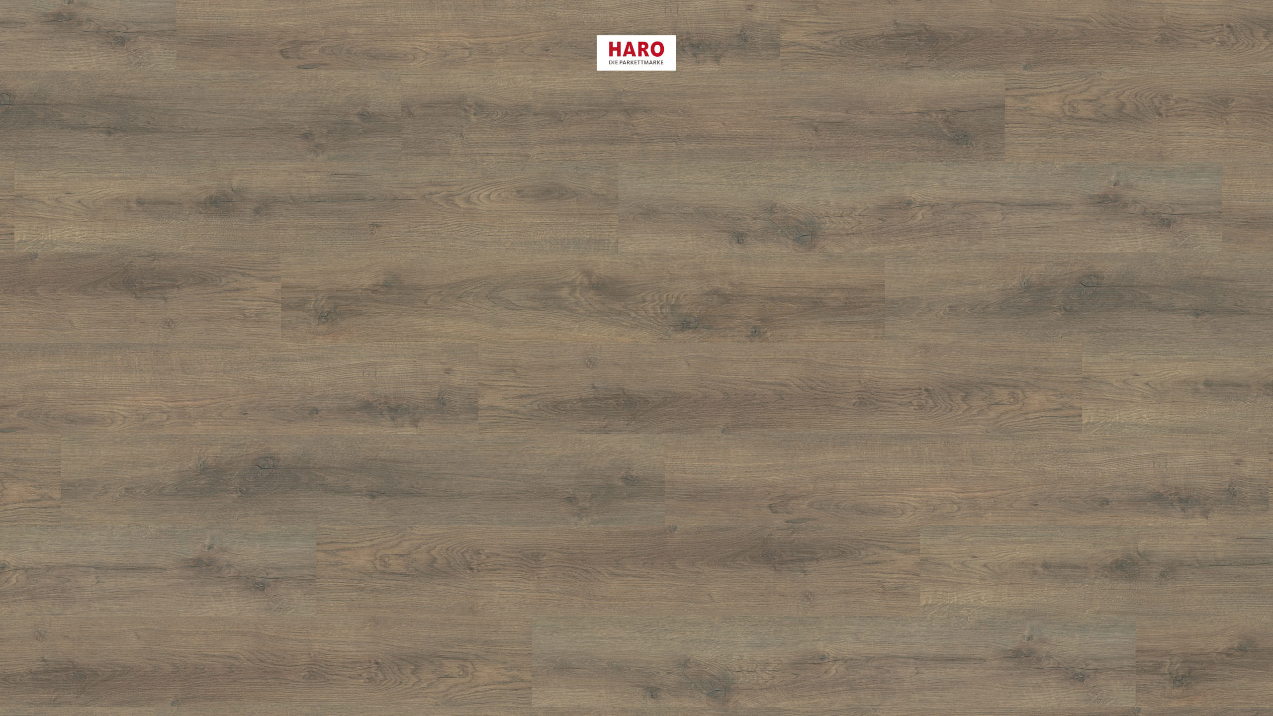 HARO Laminat Eiche Scarpa geräuchert strukturiert matt Landhausdiele | Sonderedition NKL31-401842511579